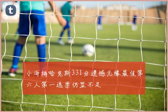 小海梅哈克斯331分遗憾无缘最佳第六人第一选票仍显不足